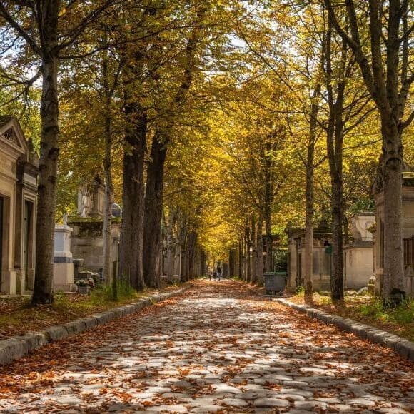 Père Lachaise Cemetery Tour : Picture of an alley in the autumn with colorful leaves on the ground.