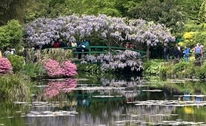 Monet's Japanese bridge and water lily pond with wisteria blooms and reflections at Giverny gardens