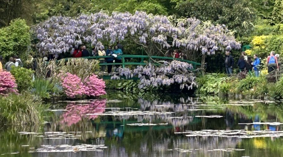 Monet's Japanese bridge and water lily pond with wisteria blooms and reflections at Giverny gardens